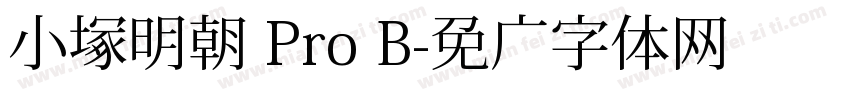 小塚明朝 Pro B字体转换